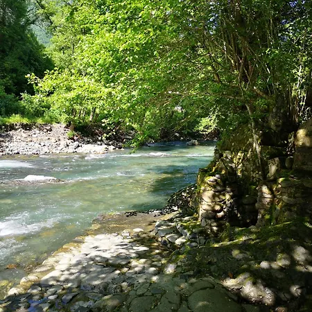 De Montagne En Ariège