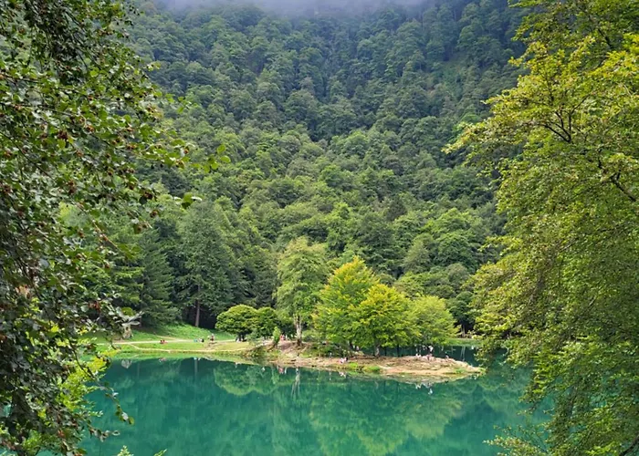 De Montagne En Ariege * Engomer