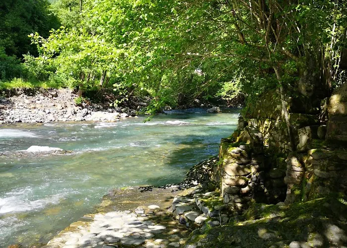 De Montagne En Ariege